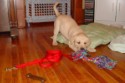 Rope Play (Ruby).jpg